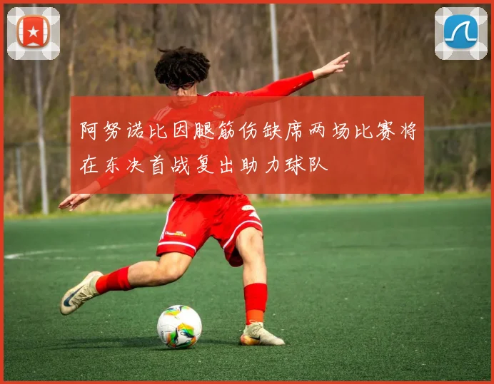 阿努诺比因腿筋伤缺席两场比赛将在东决首战复出助力球队