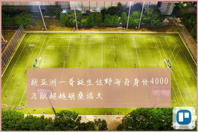 新亚洲一哥诞生佐野海舟身价4000万欧超越胡桑诺夫